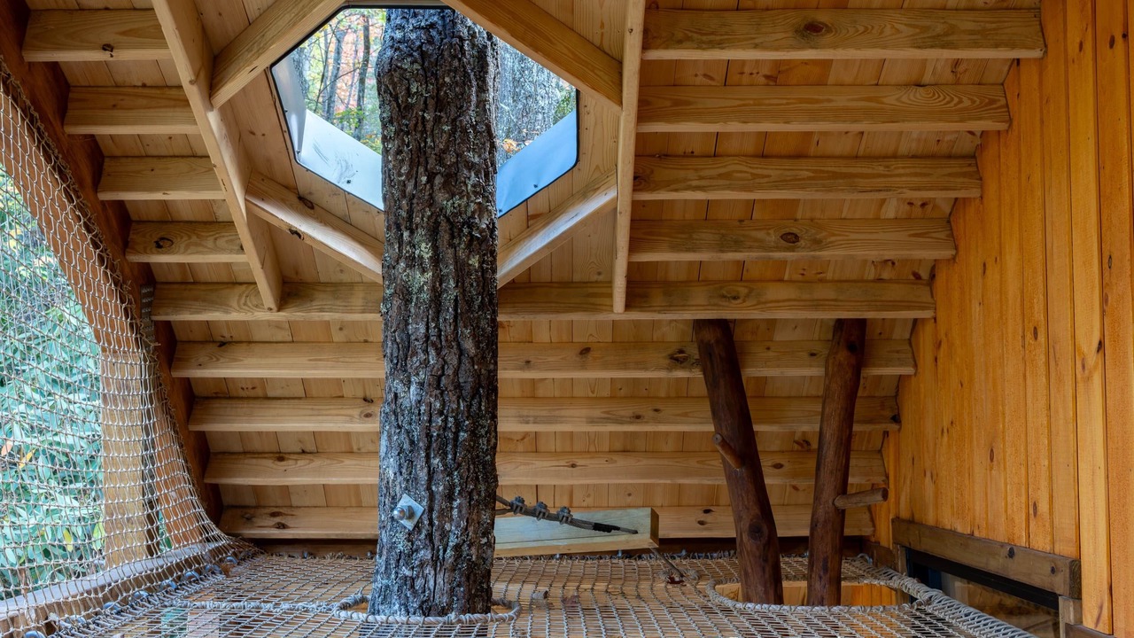 Photo of Outdoor in Sugarfork