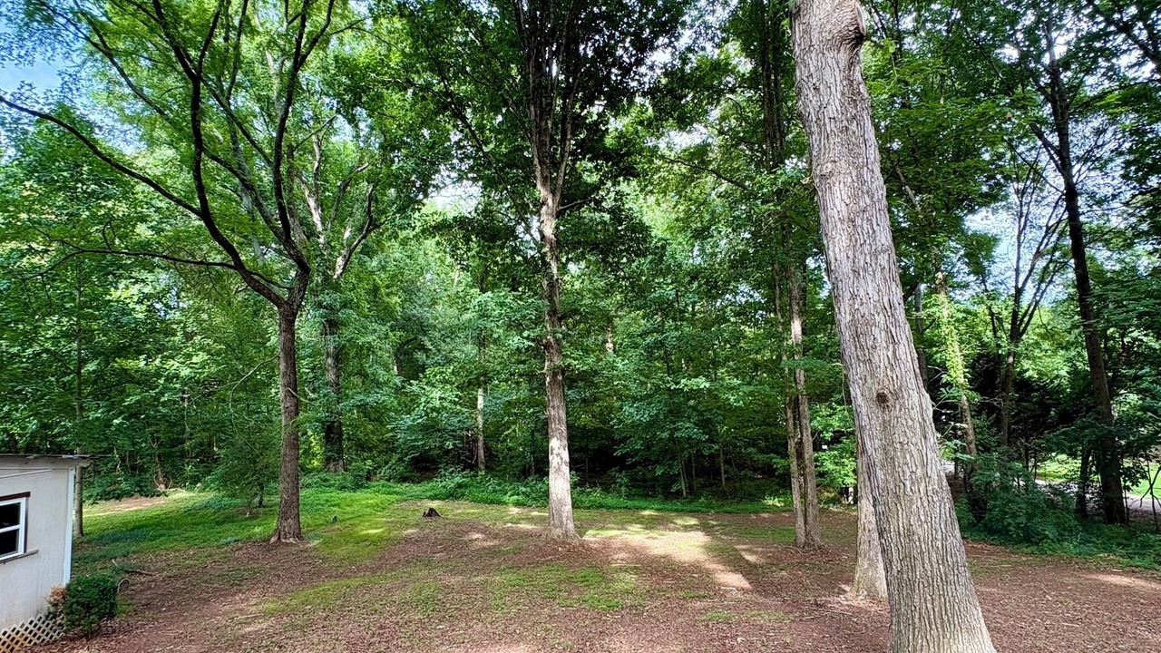 Photo of Outdoor in Huntersville