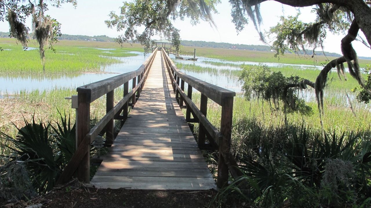 Photo of Others in Saint Helena Island
