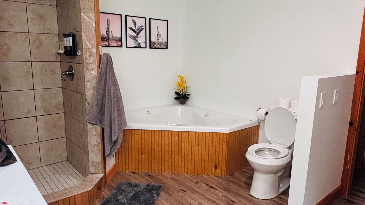 Photo of Bathroom in Hendersonville