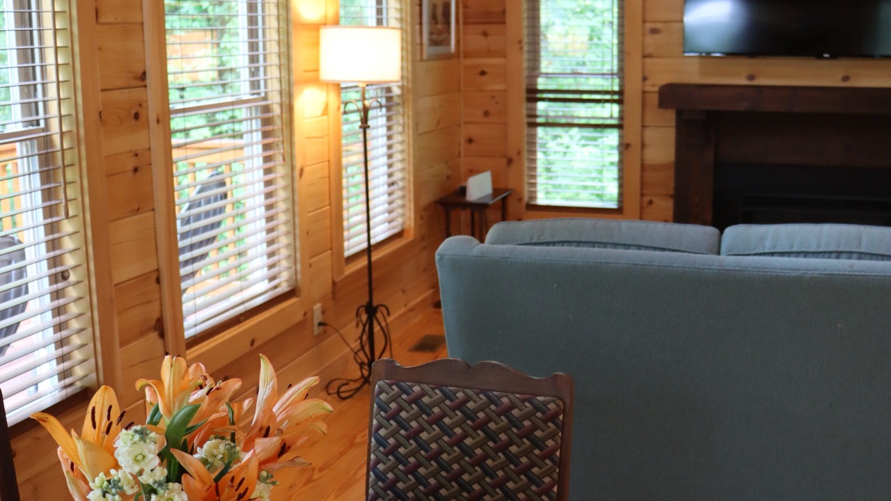 Photo of Livingroom in Hendersonville