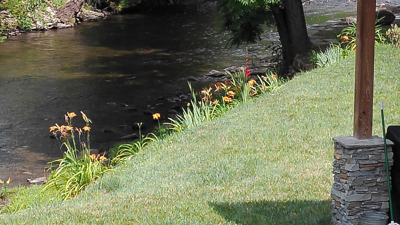 Photo of Outdoor in Bryson City