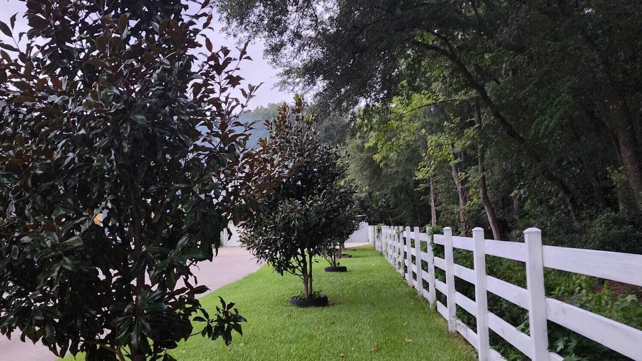 Photo of Outdoor in Mount Pleasant