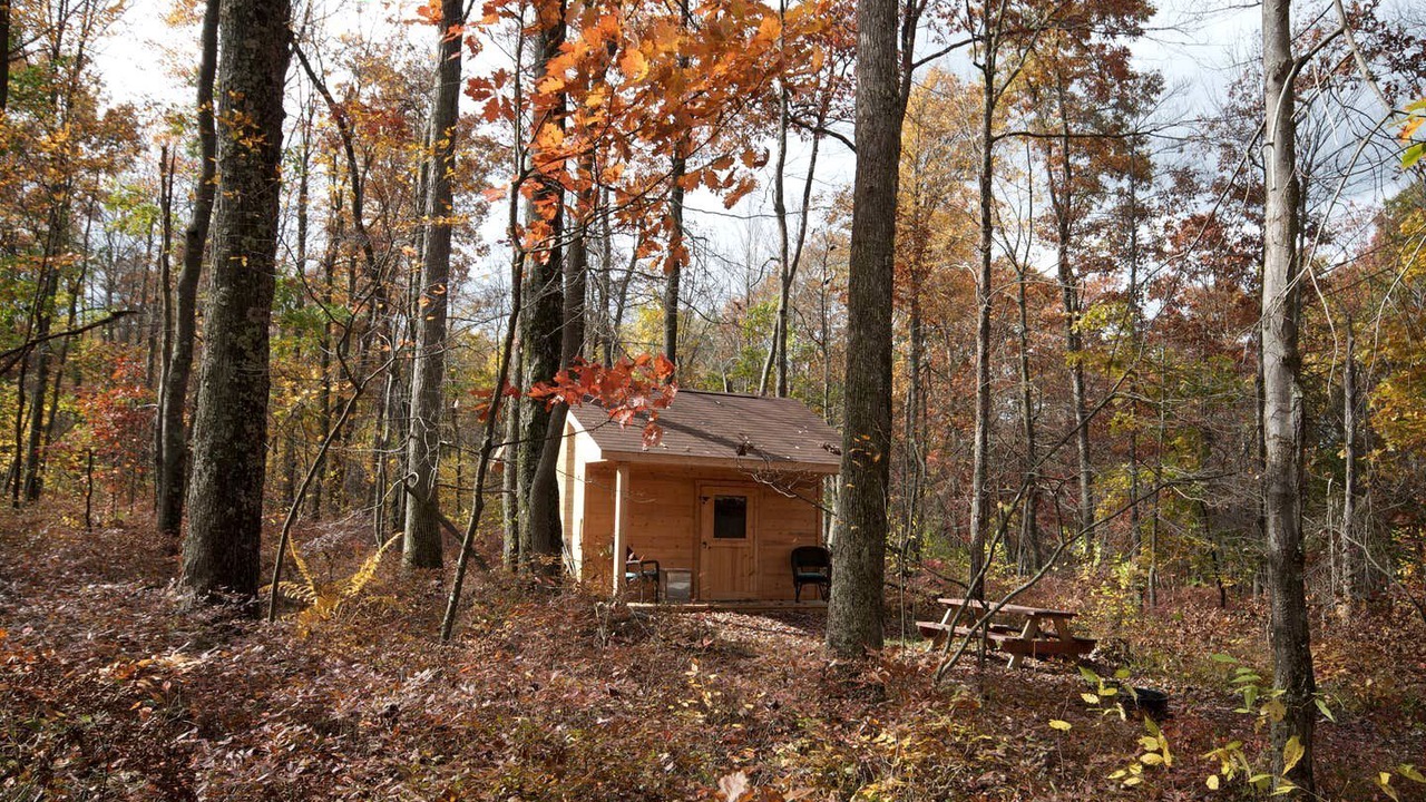 Photo of Outdoor in Crellin