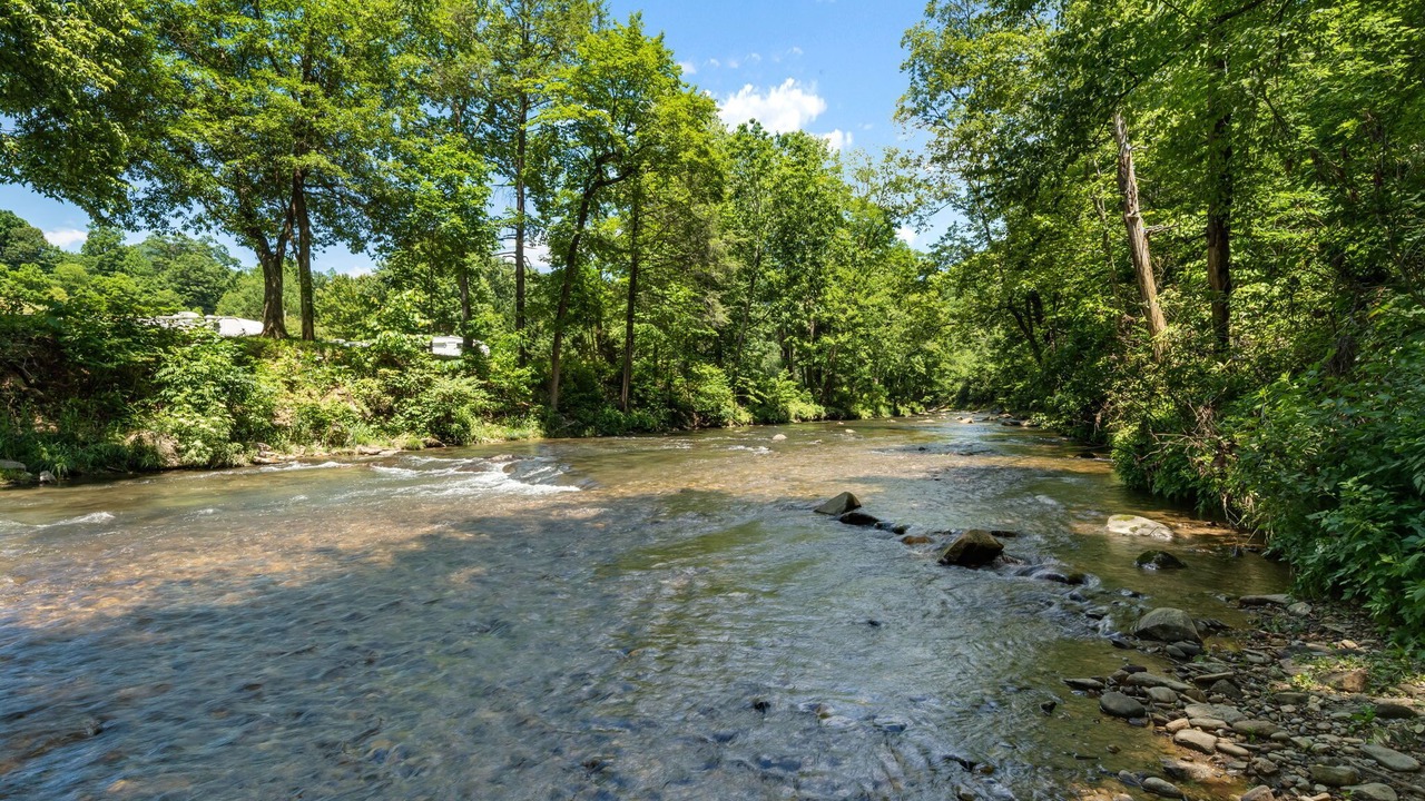 Photo of Others in Canton