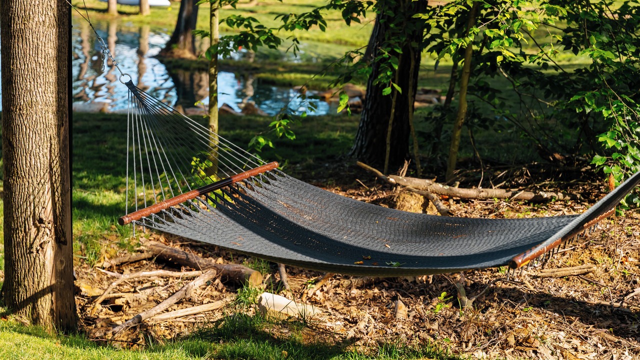 Photo of Outdoor in Shoals