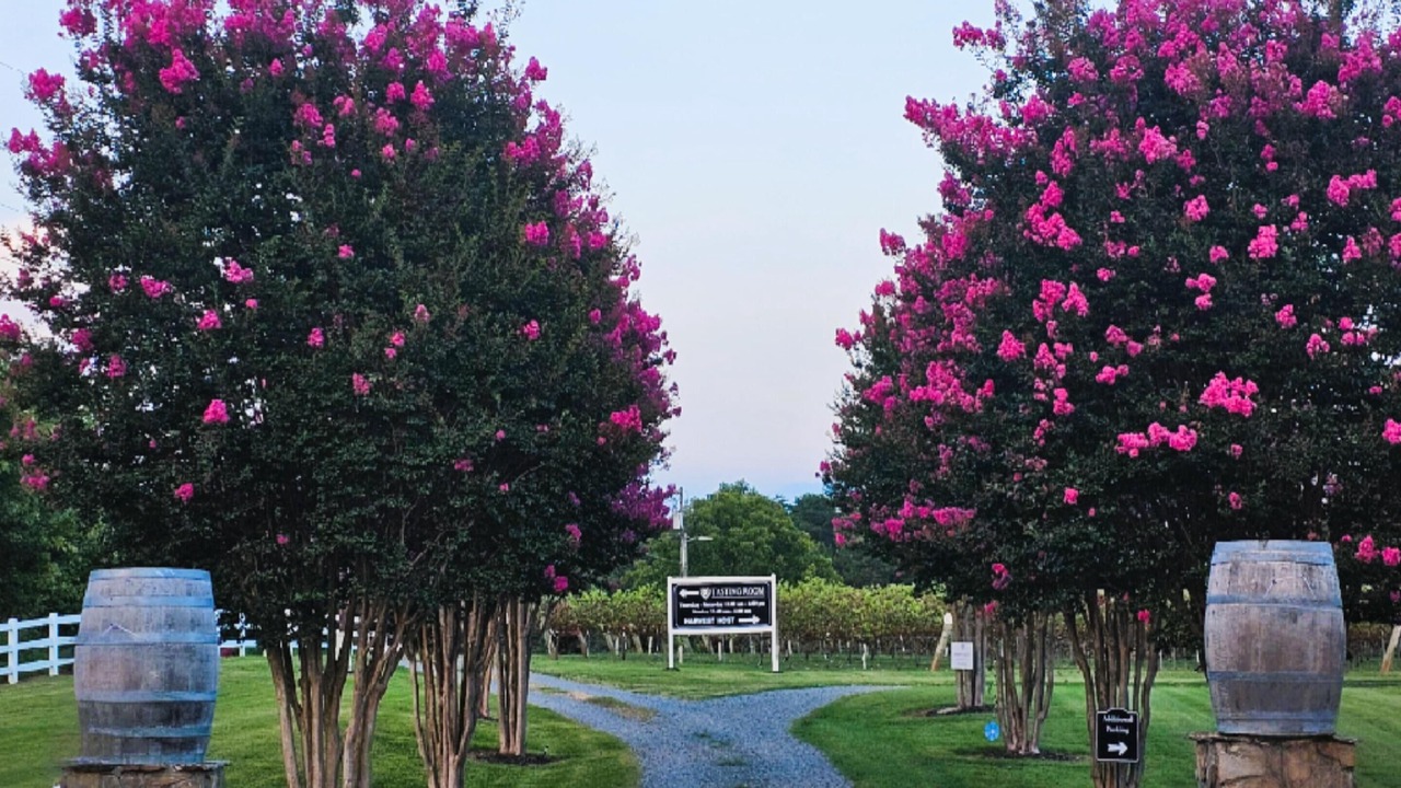 Photo of Outdoor in Dobson