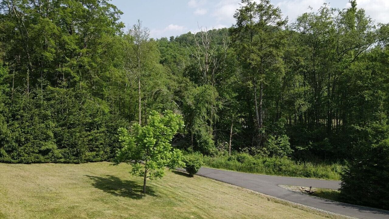 Photo of Outdoor in Banner Elk