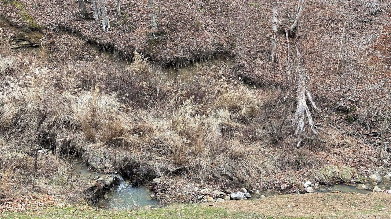 Photo of Others in Stanton