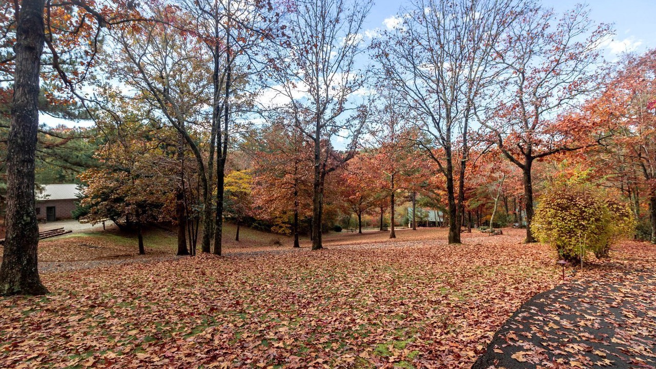 Photo of Outdoor in Copperhill