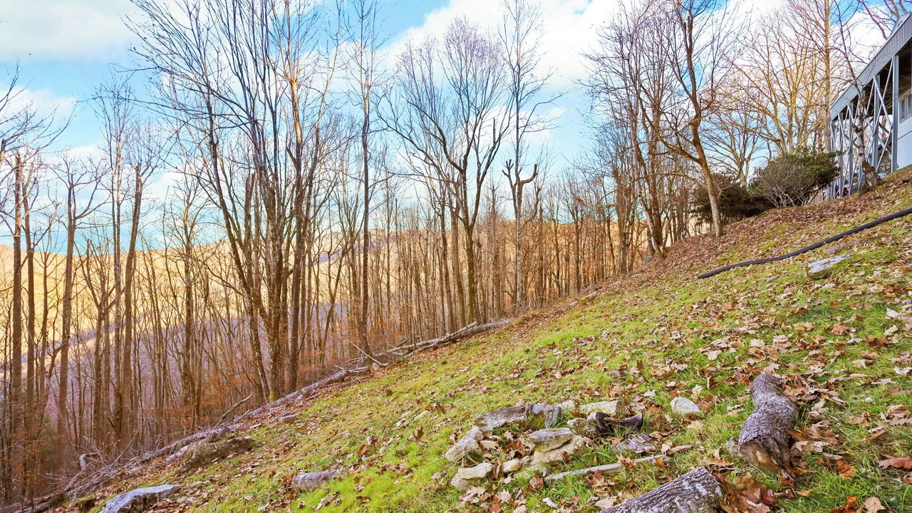 Photo of Outdoor in Beech Mountain