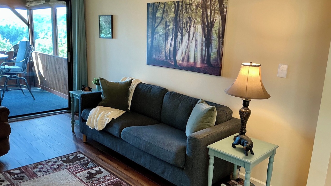 Photo of Livingroom in Lake Toxaway