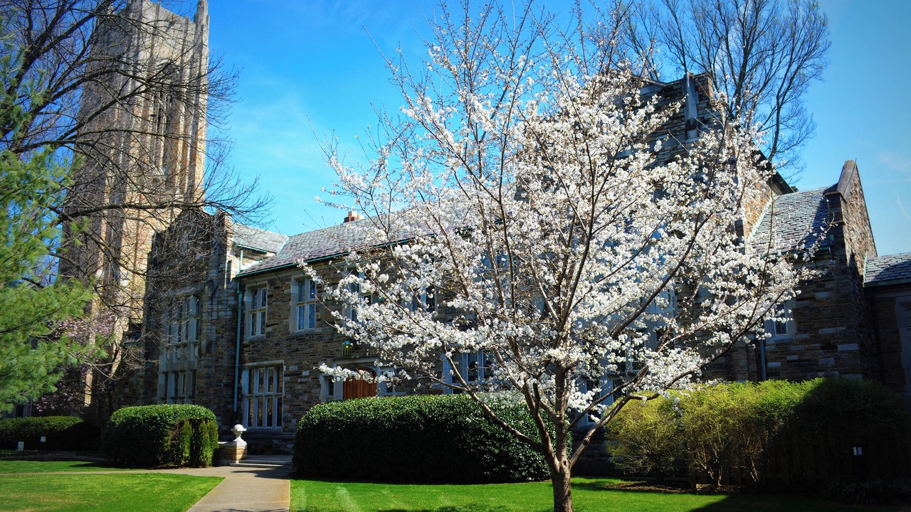 Photo of Outdoor in Music Row