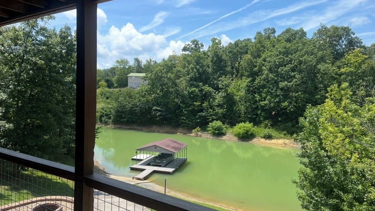 Photo of Outdoor in Dandridge