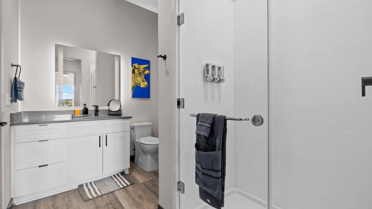 Photo of Bathroom in South Nashville
