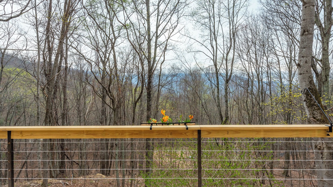 Photo of Outdoor in Weaverville