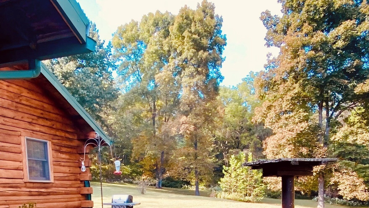 Photo of Others in Williams