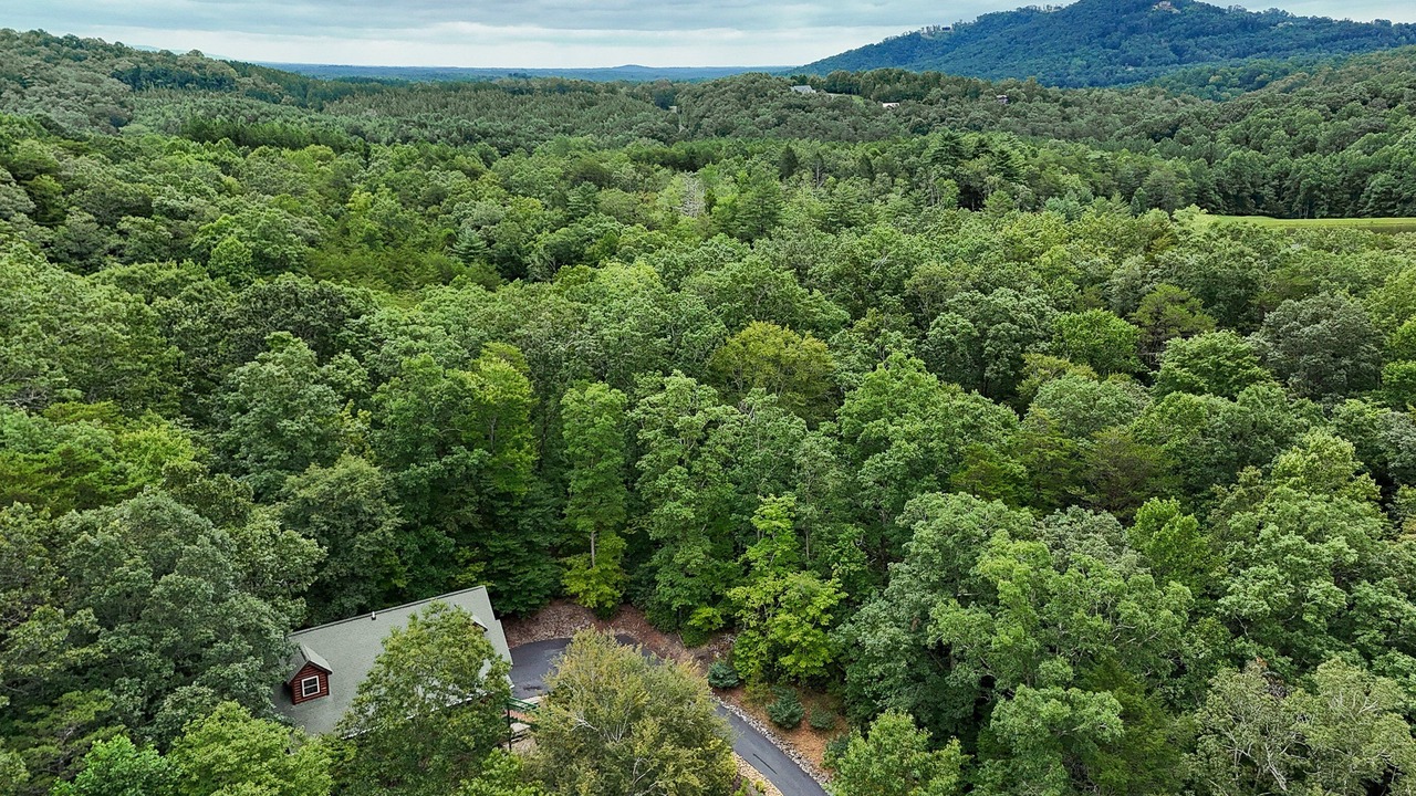 Photo of Others in Lake Lure