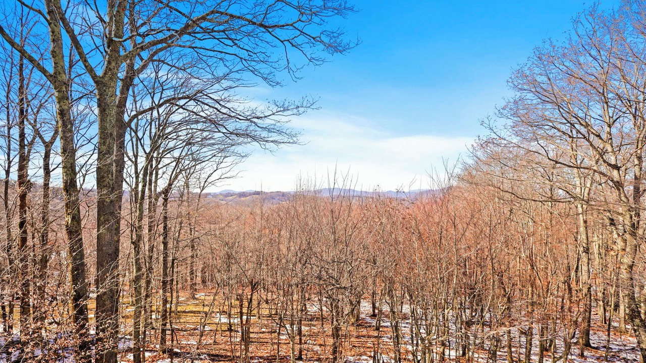 Photo of Others in Beech Mountain