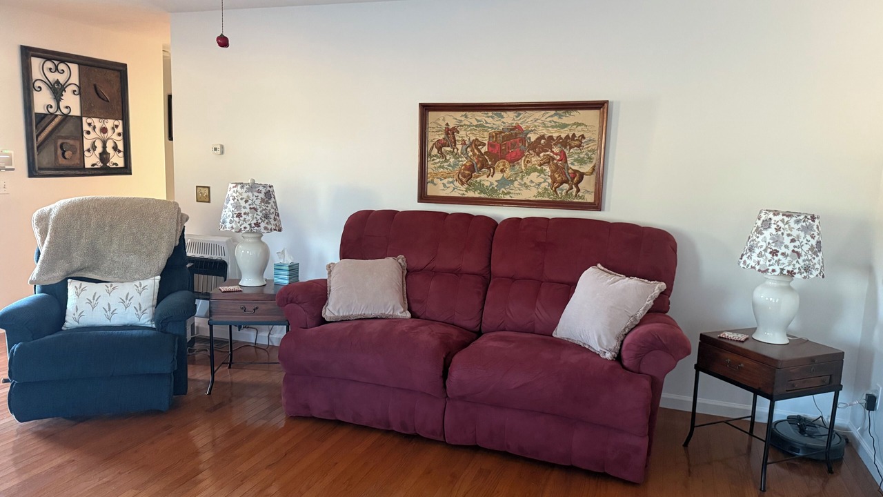 Photo of Livingroom in Flat Rock