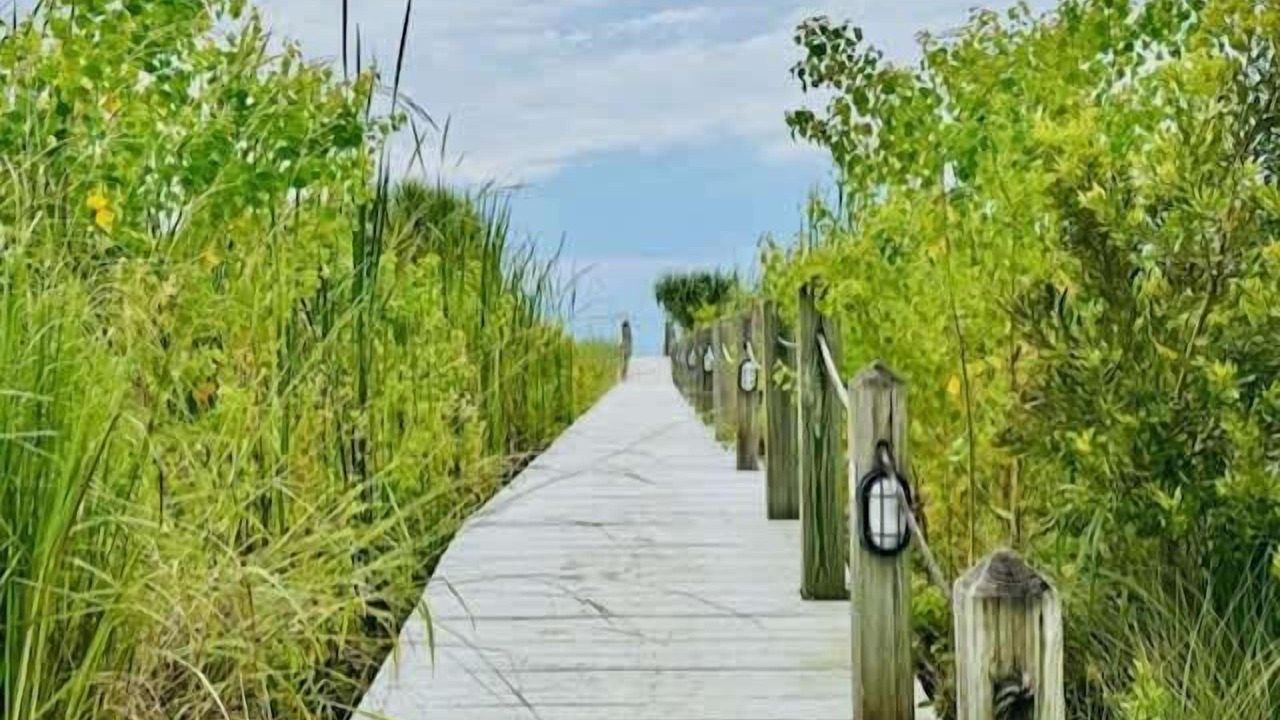Photo of Others in Daufuskie Island