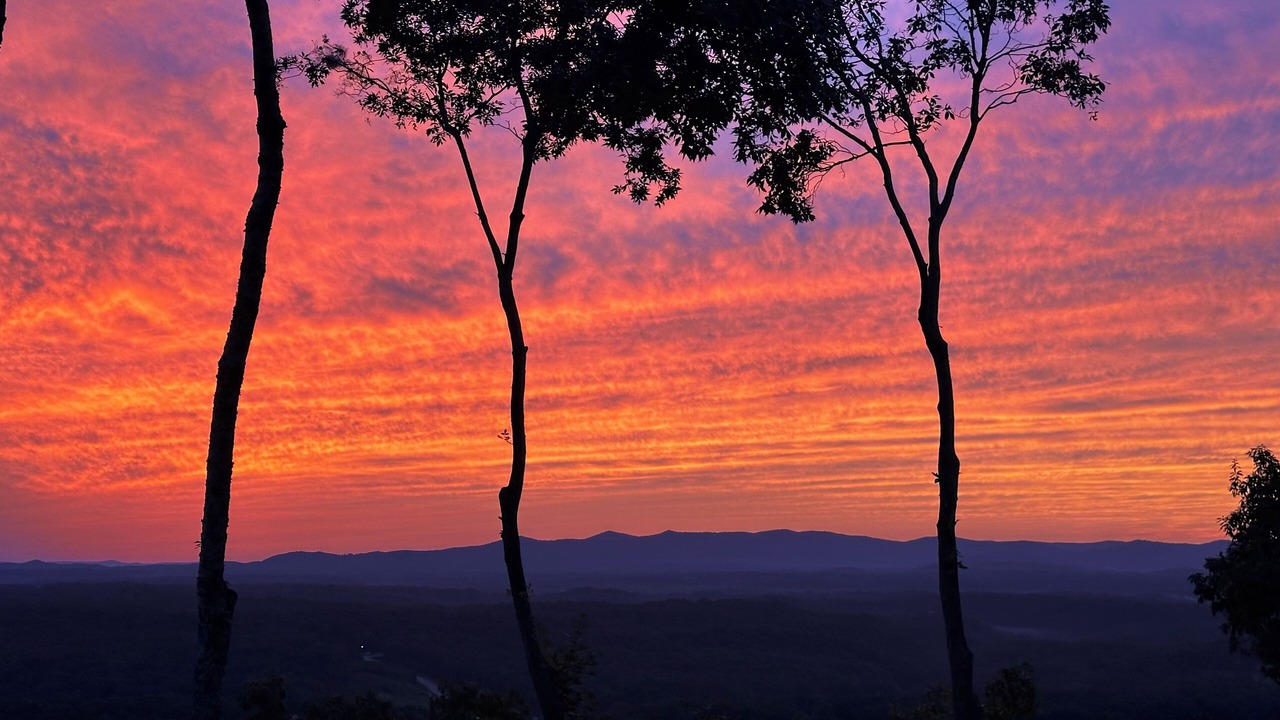 Photo of Others in East Ellijay
