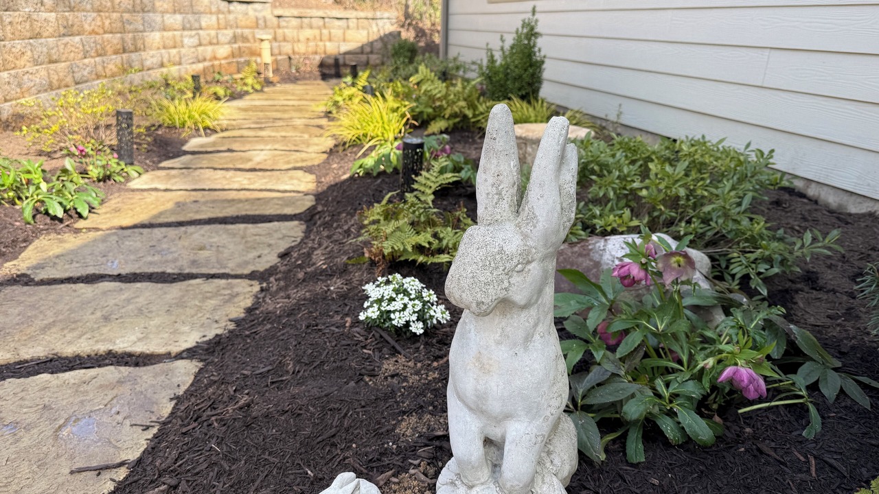 Photo of Outdoor in Lynn