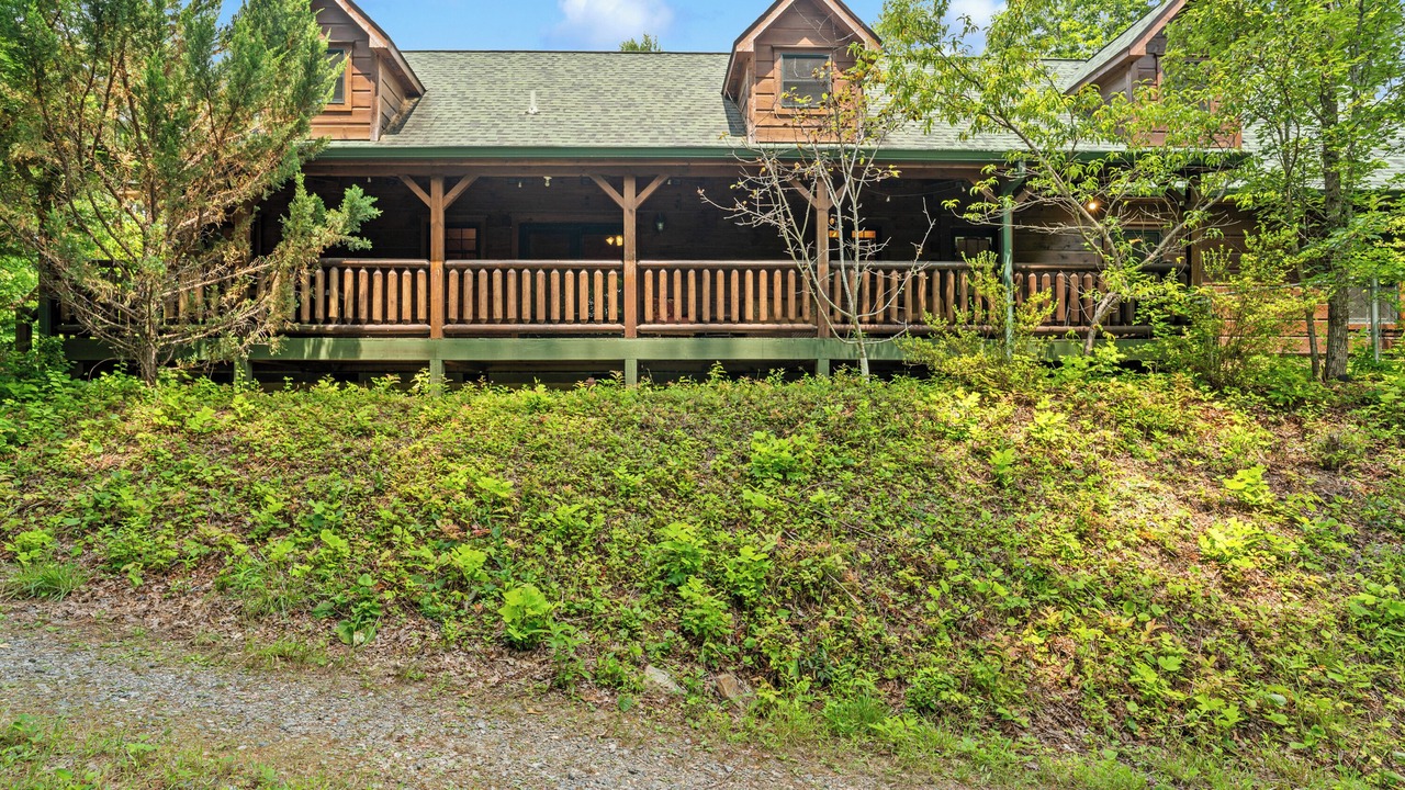 Photo of Outdoor in Pisgah Forest