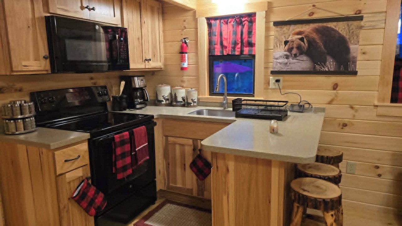 Photo of Kitchen in Vein Mountain