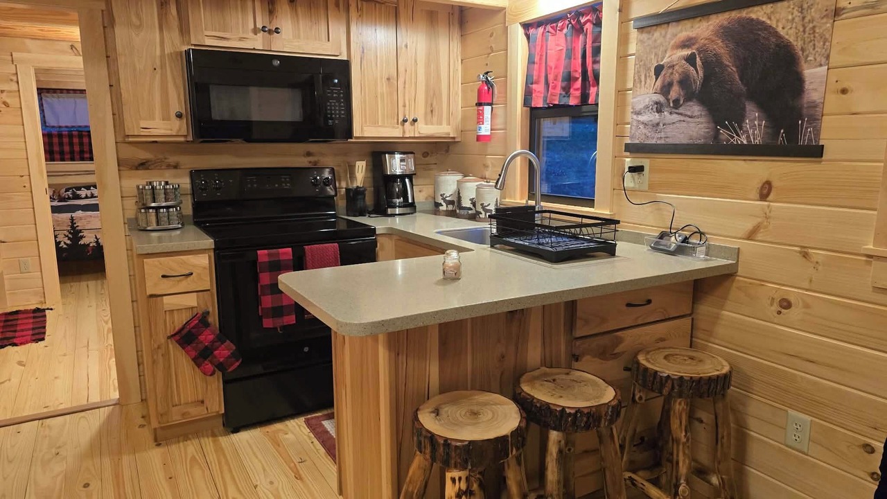 Photo of Kitchen in Vein Mountain