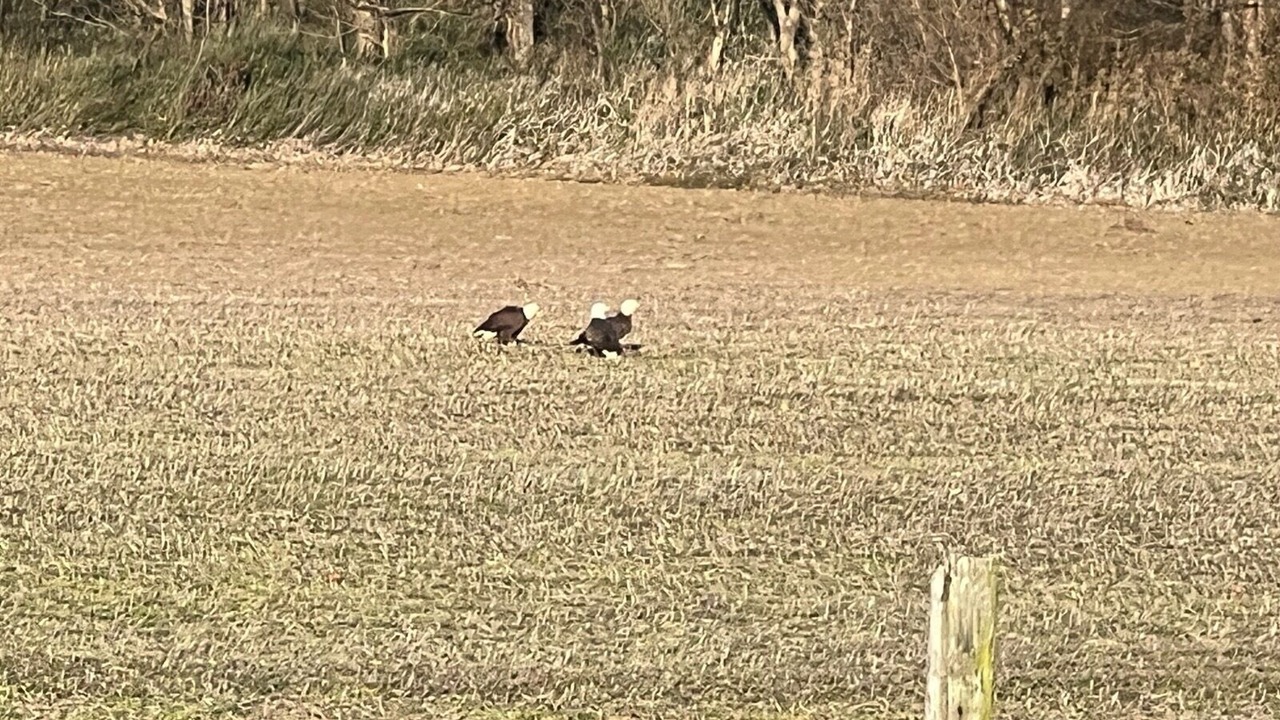 Photo of Others in Wynnburg