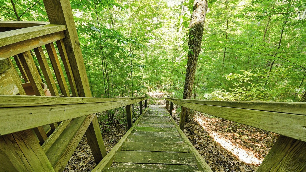 Photo of Outdoor in Talking Rock