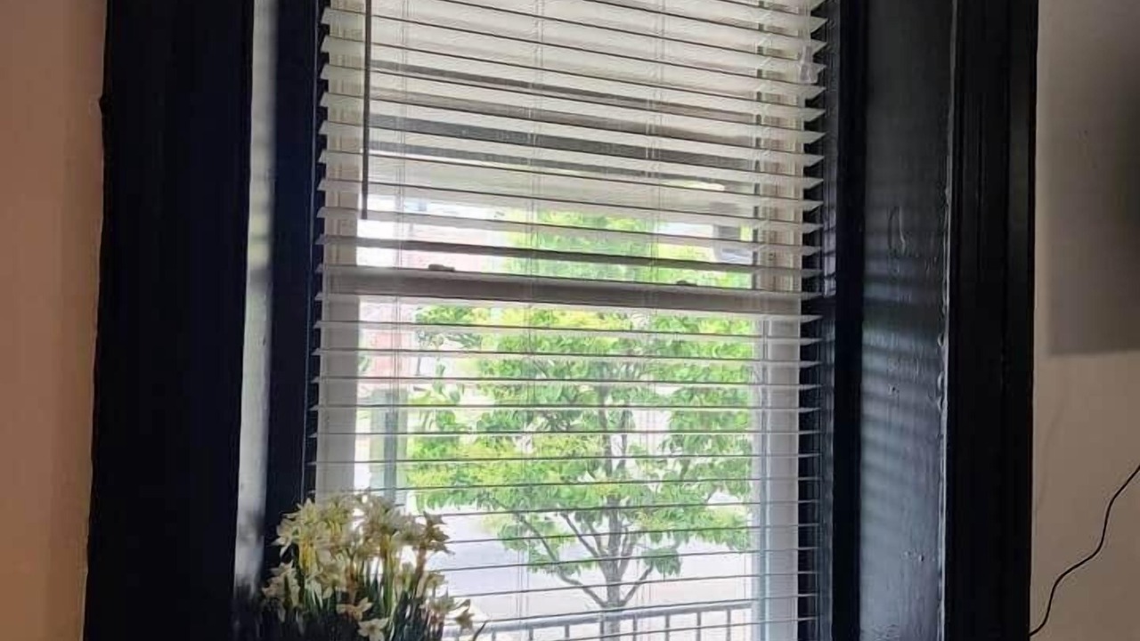 Photo of Others in Mount Vernon