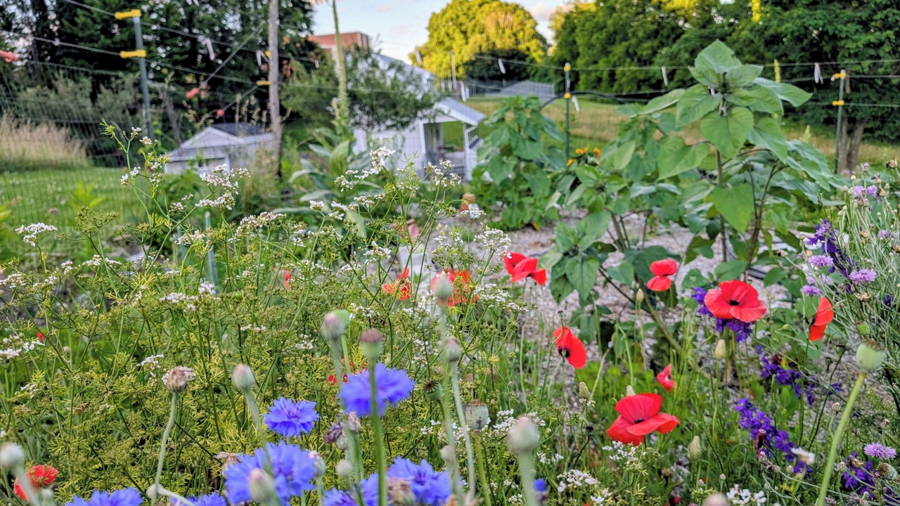 Photo of Outdoor in Marion