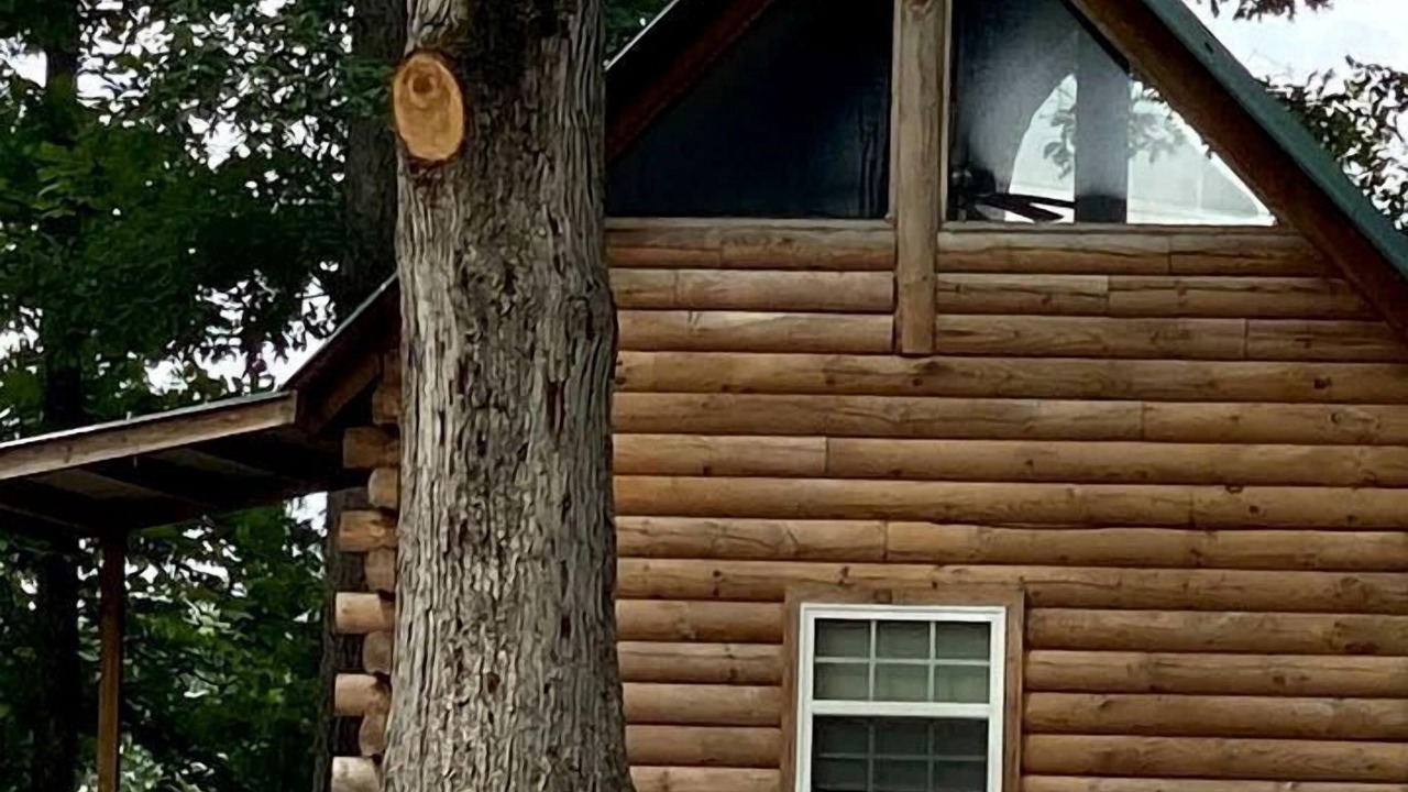 Photo of Outdoor in Columbia
