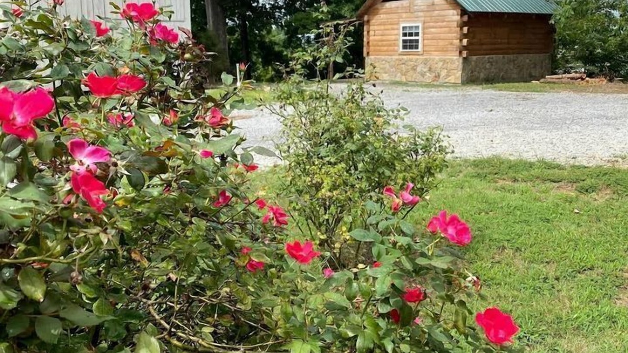 Photo of Outdoor in Columbia