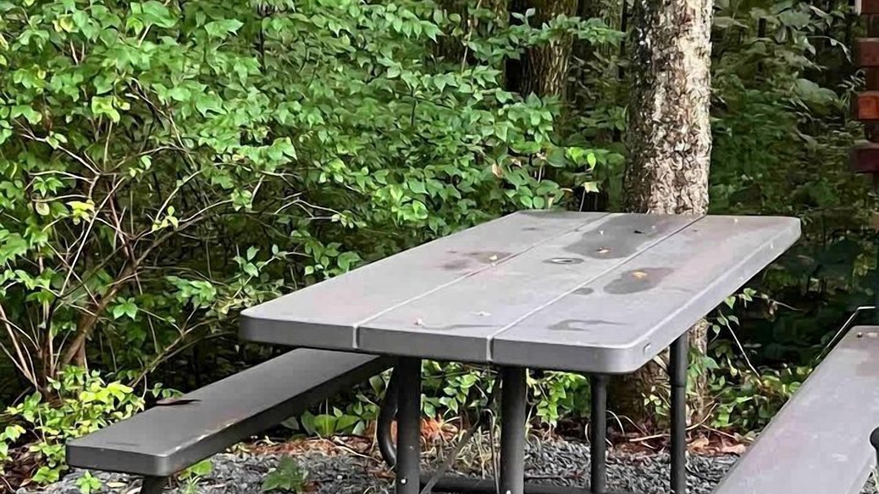 Photo of Outdoor in Columbia