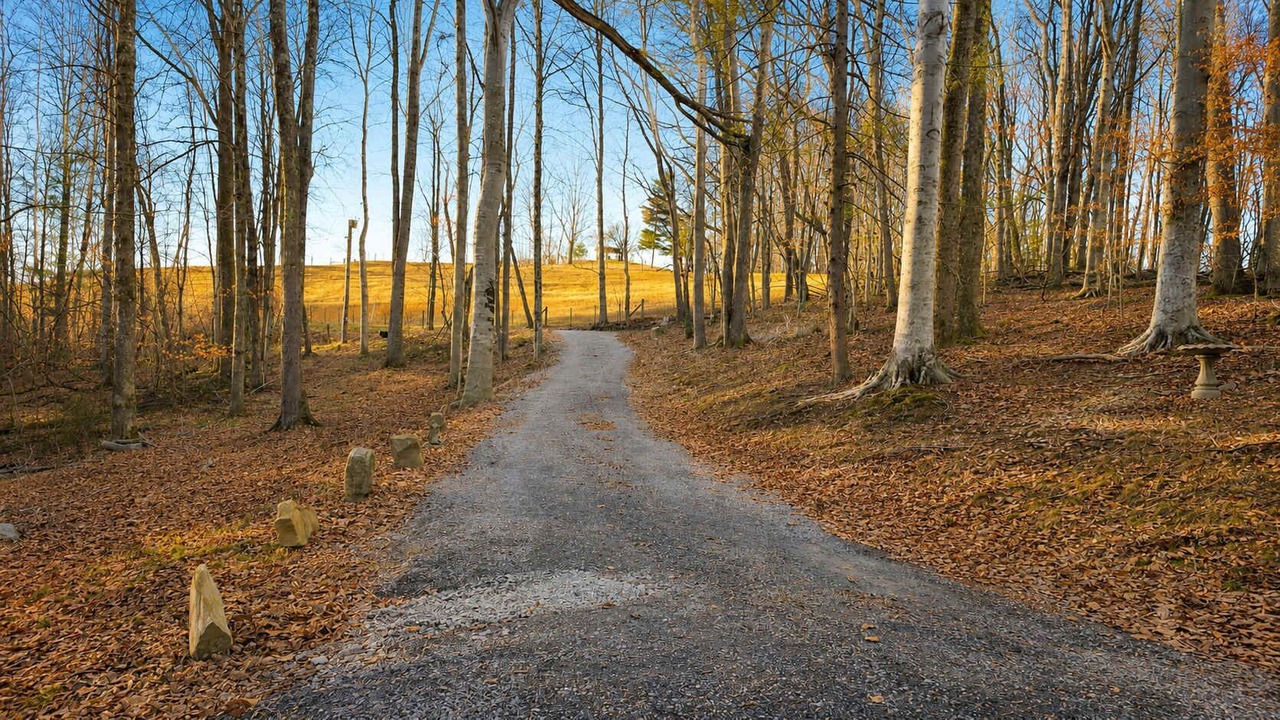 Photo of Others in Claypool Hill