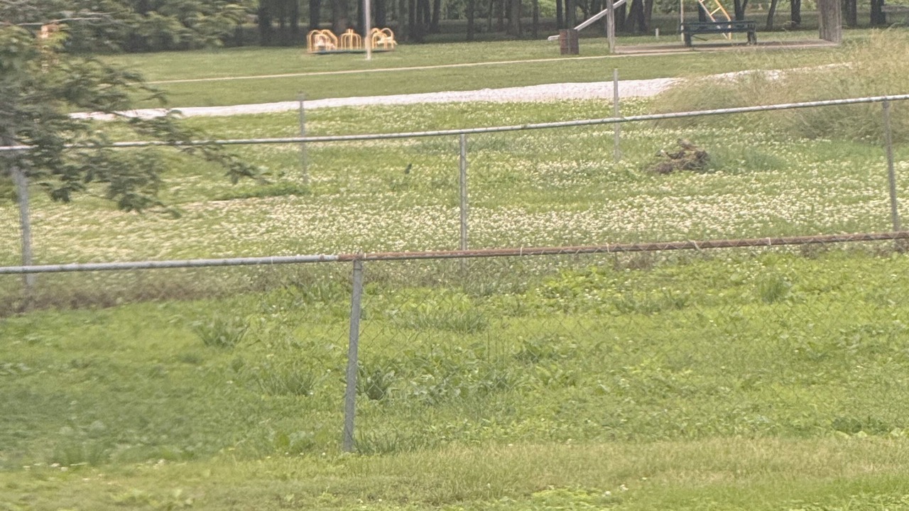 Photo of Outdoor in Oneida