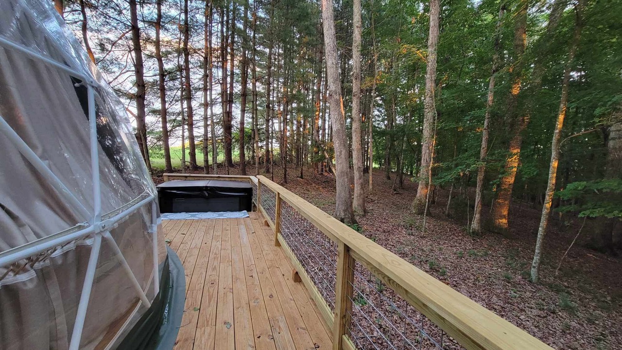 Photo of Outdoor in Forest Hill