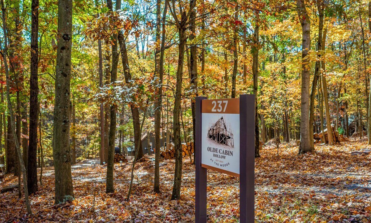 Photo of Others in The Woods