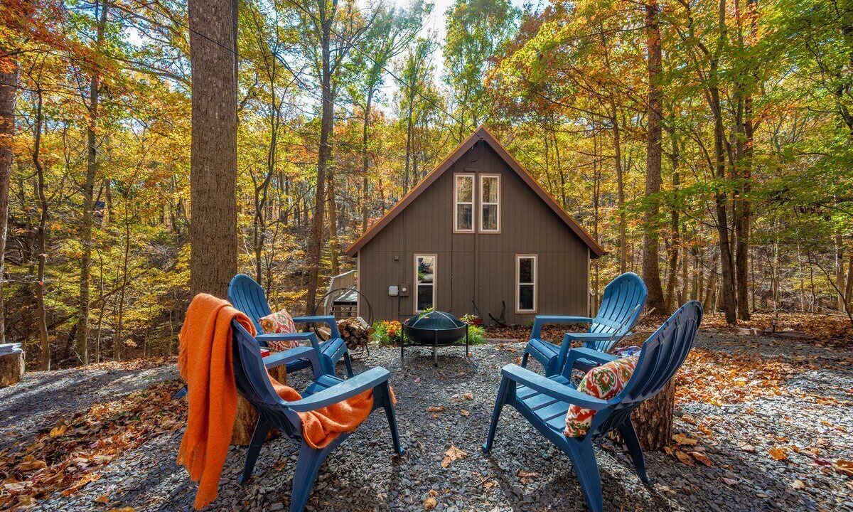 Photo of Outdoor in The Woods