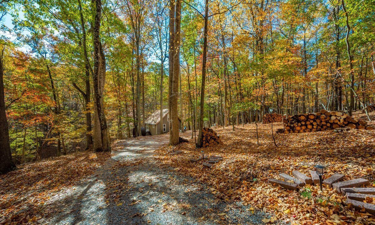Photo of Outdoor in The Woods