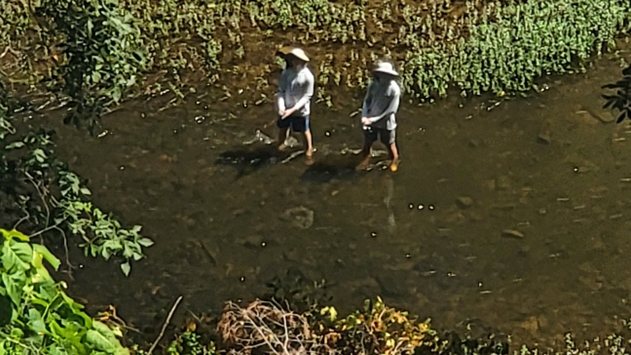 Photo of Others in Augusta