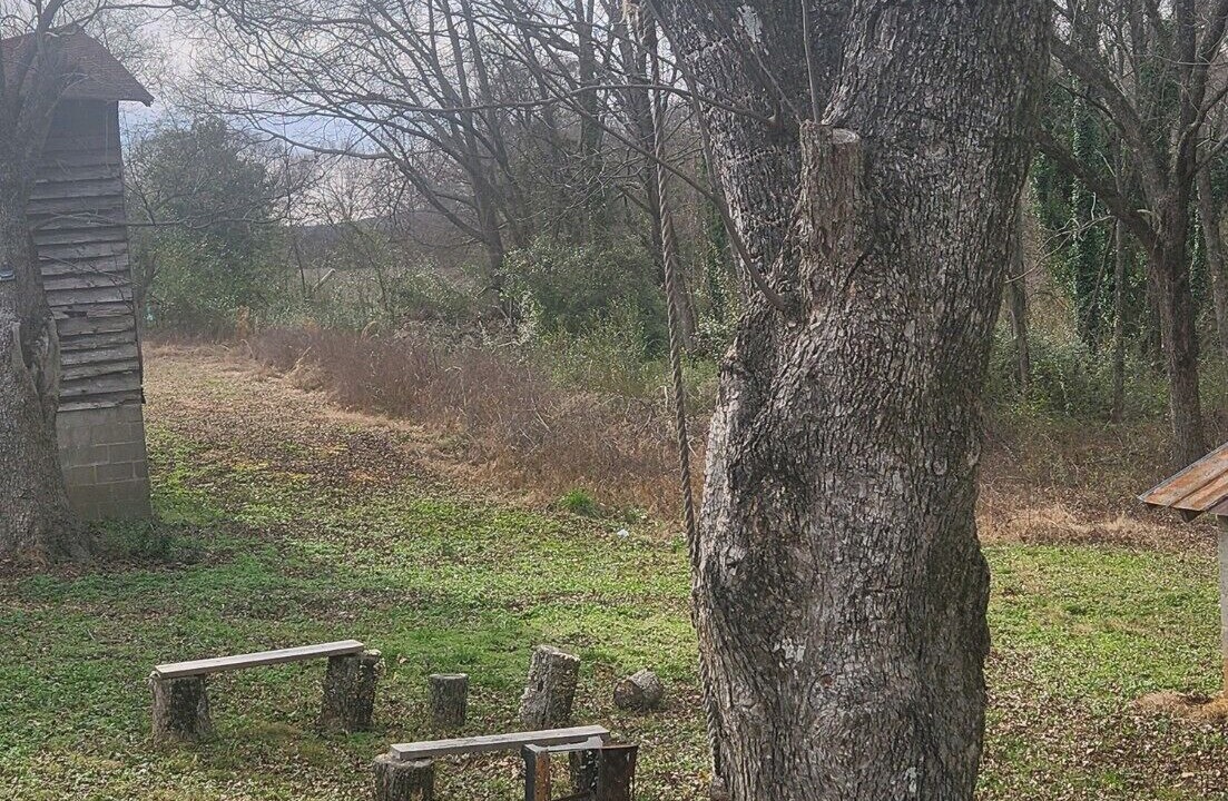 Photo of Outdoor in Toccoa