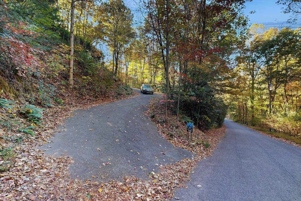 Photo of Outdoor in Waynesville