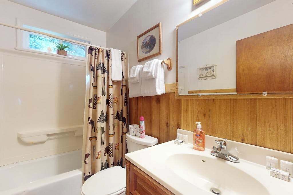 Photo of Bathroom in Scaly Mountain