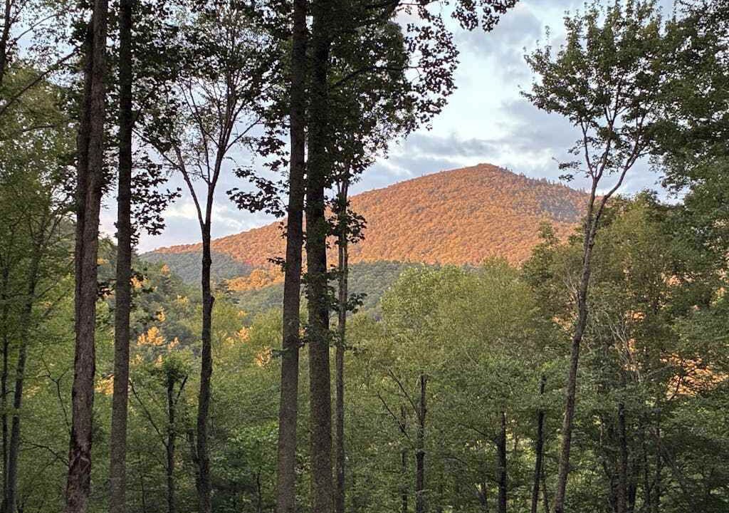 Photo of Others in Highlands