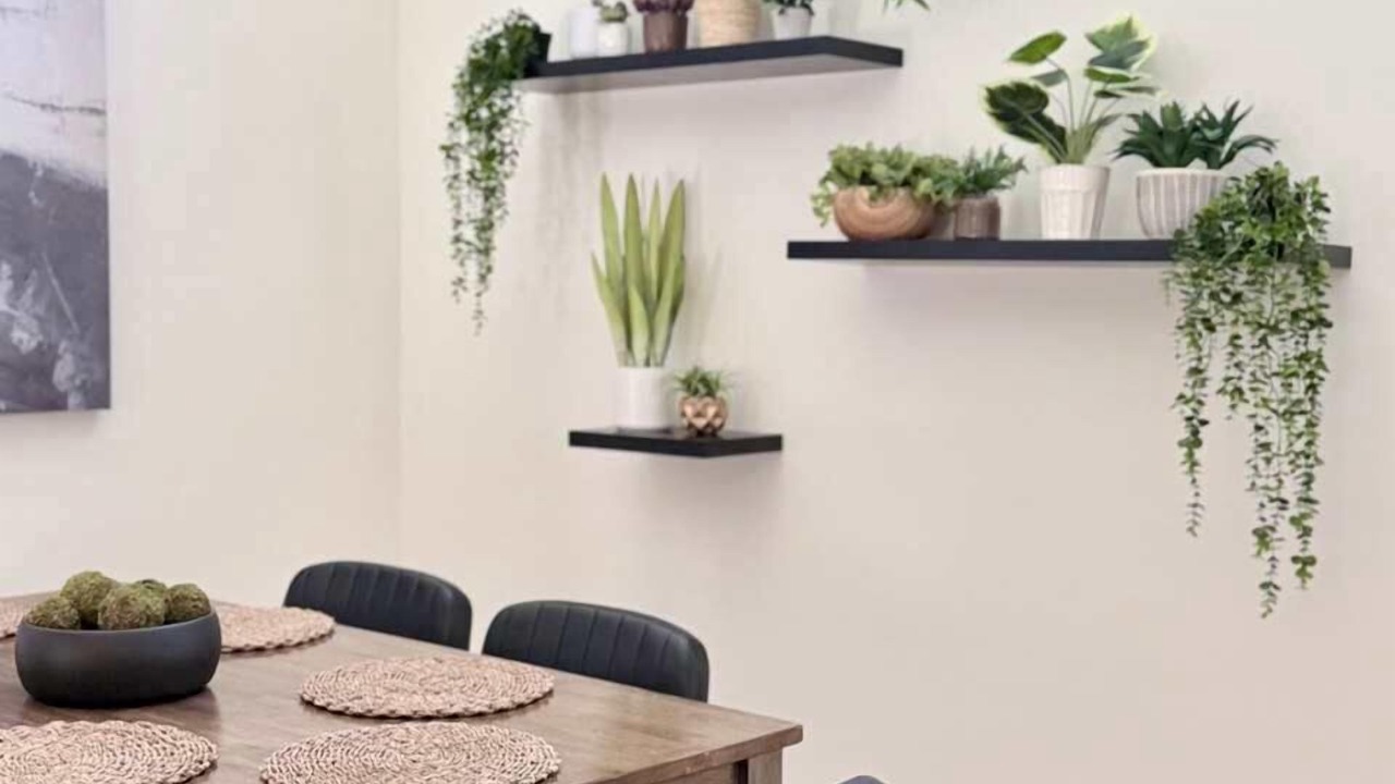 Photo of Others in Johnson City