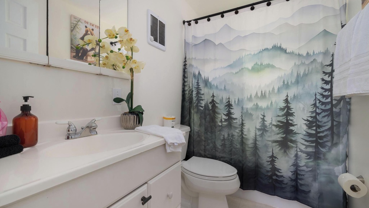 Photo of Bathroom in Roan Mountain